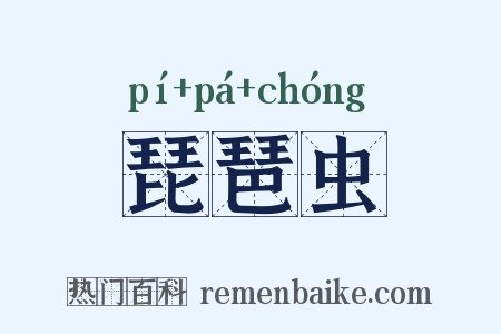 琵琶虫是什么意思的图片